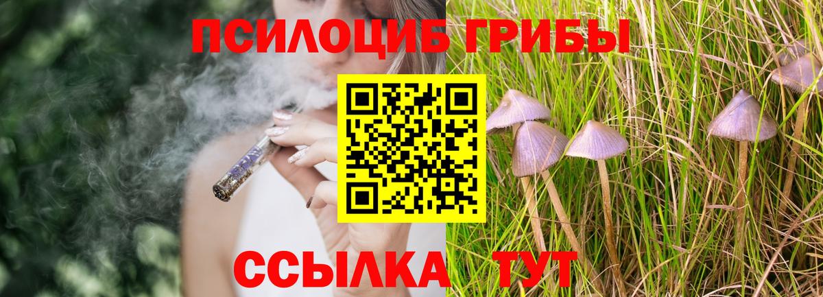 Псилоцибиновые грибы GOLDEN TEACHER  Вход с VPN  закладка  Городец 